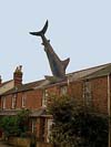 Headington Shark Oxford