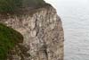 Photograph   Bempton Cliffs in Yorkshire