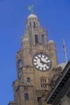 Photograph  from  liver building   liverpool 