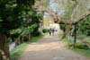Magdalen College  Oxford  addisons walk